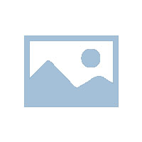 MICA抗体与肾移植排斥